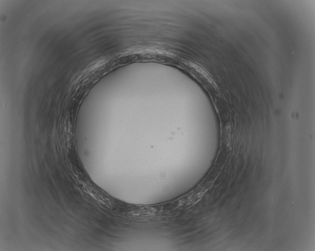 X0000083611111200703121555