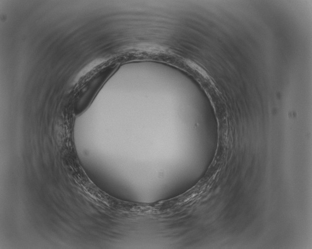 X0000083611112200703121555