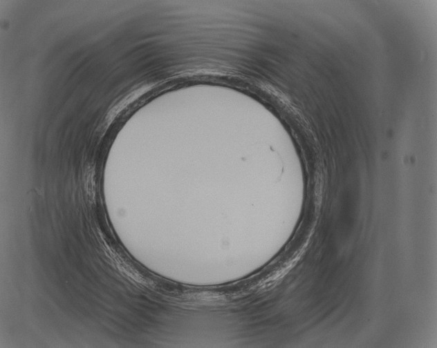 X0000083611113200703121555