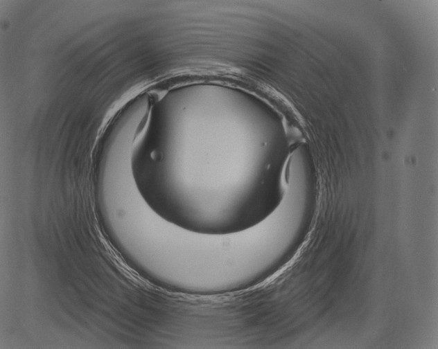 X0000083611114200703121555