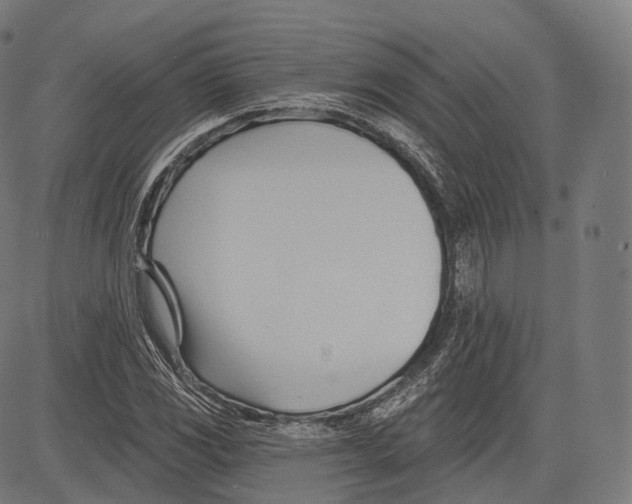 X0000083611117200703121555