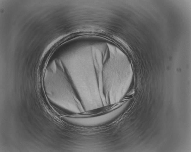 X0000083611120200703121555