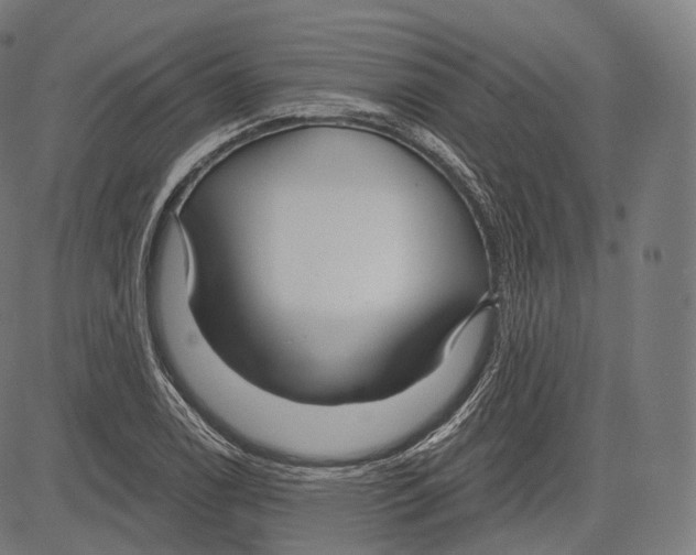 X0000083611122200703121555