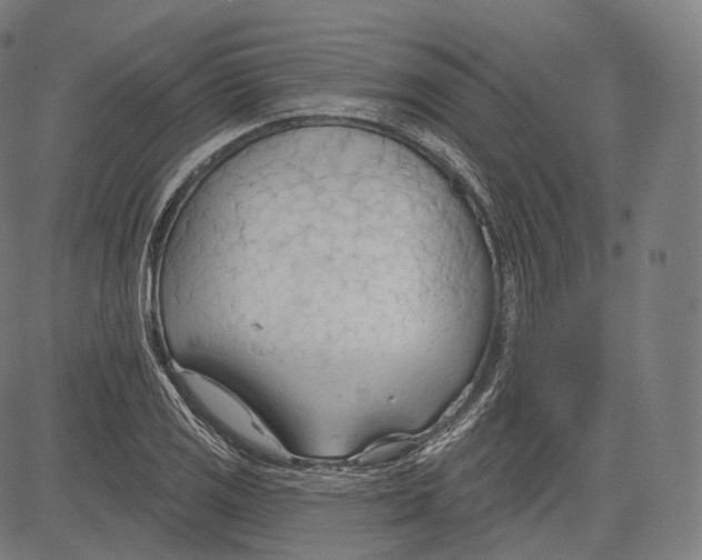 X0000083611125200703121555