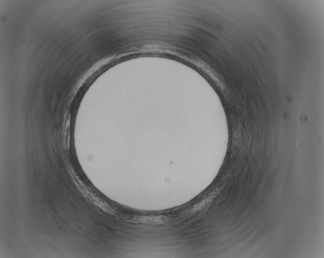 X0000083611126200703121555