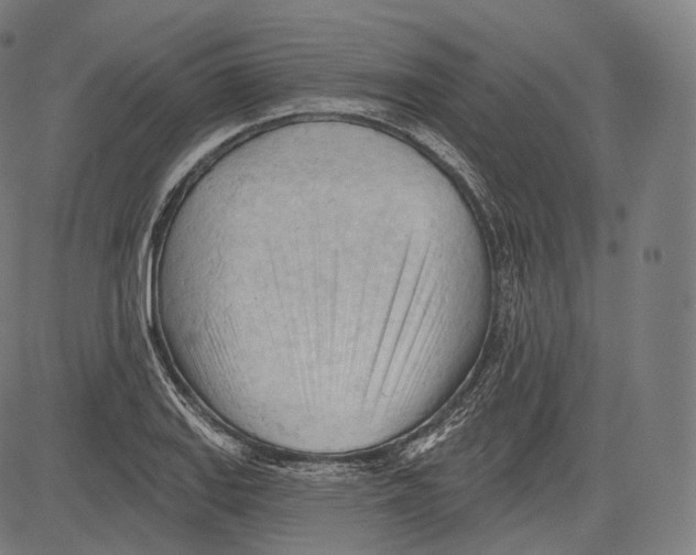 X0000083611127200703121555