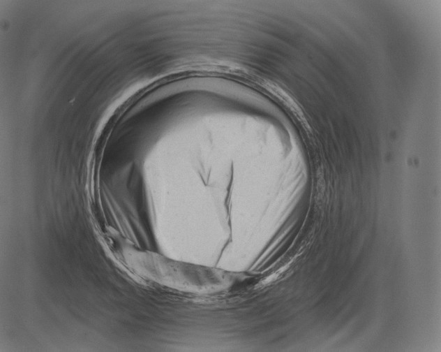 X0000083611128200703121555