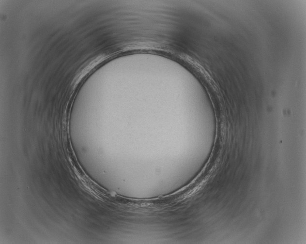 X0000083611129200703121555