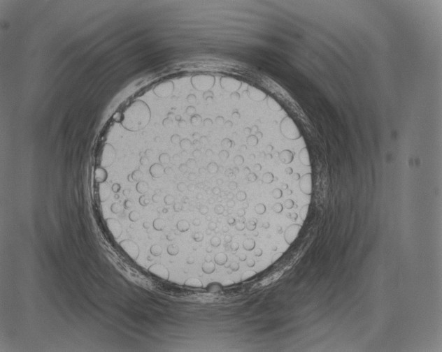 X0000083611130200703121556