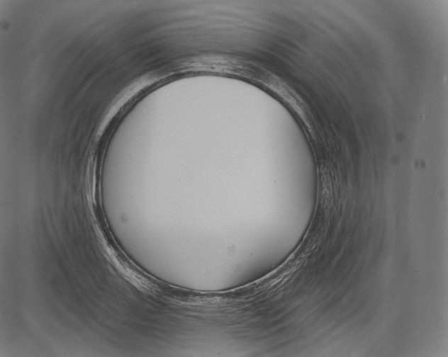 X0000083611131200703121556