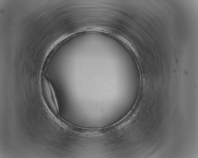 X0000083611133200703121556