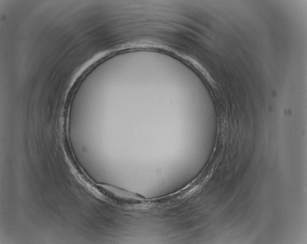 X0000083611134200703121556