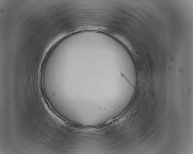 X0000083611135200703121556