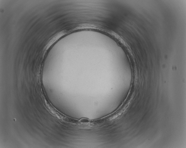 X0000083611137200703121556