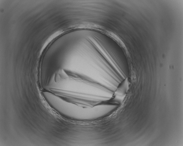 X0000083611138200703121556