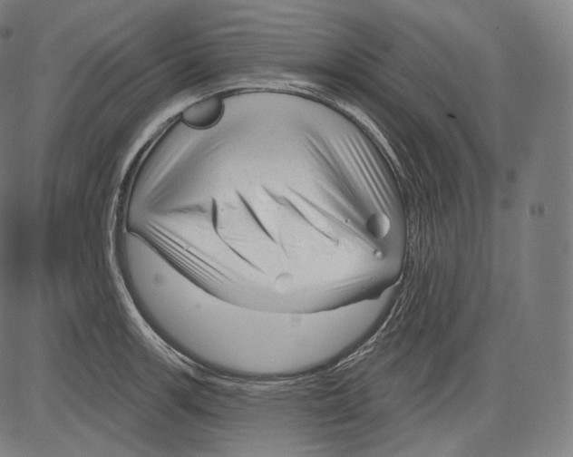 X0000083611139200703121556