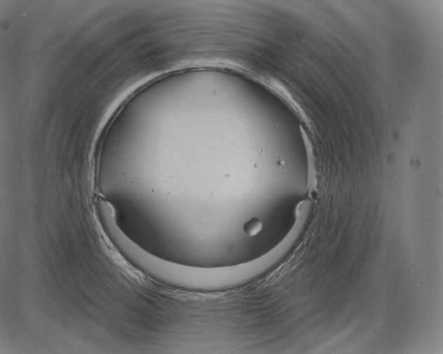 X0000083611140200703121556