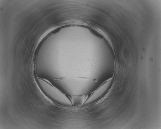 X0000083611141200703121556