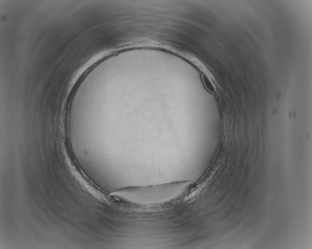 X0000083611142200703121556