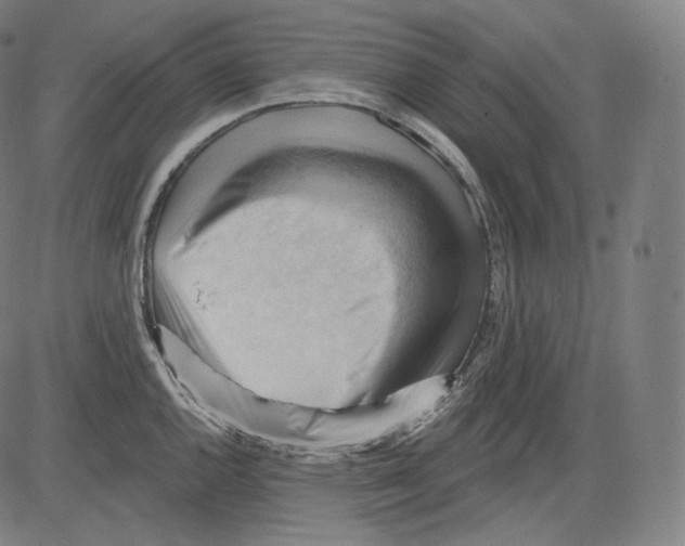 X0000083611144200703121556