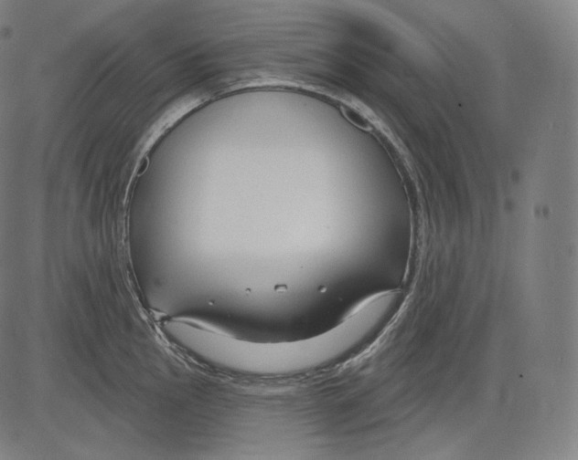 X0000083611145200703121556