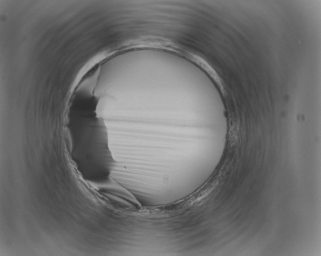 X0000083611146200703121556