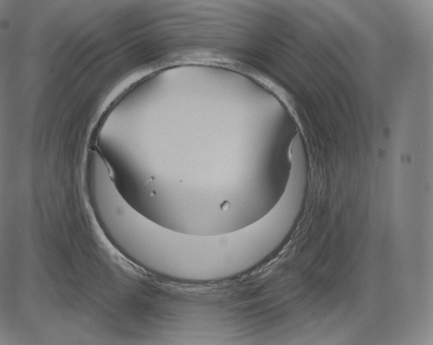 X0000083611147200703121556