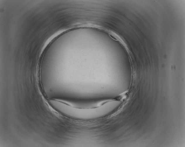 X0000083611149200703121556