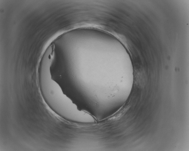 X0000083611151200703121556