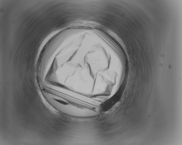 X0000083611152200703121556