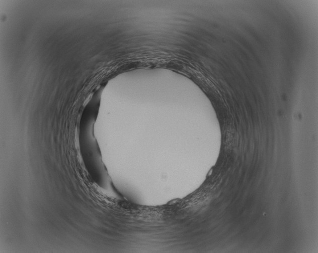 X0000083611153200703121555