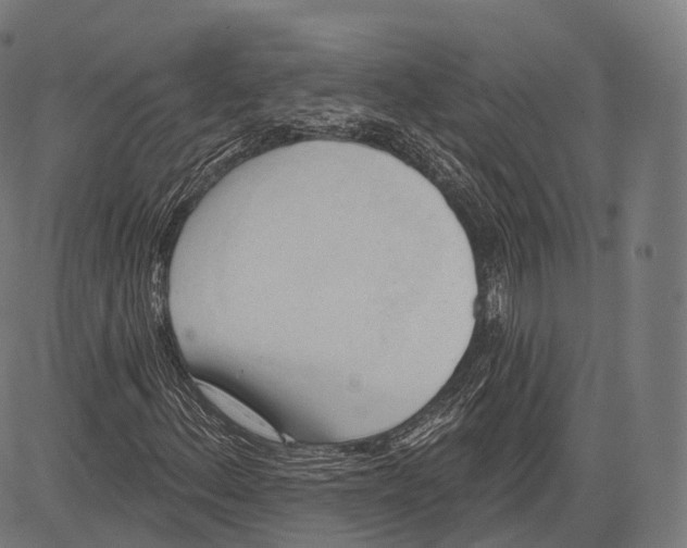 X0000083611156200703121555