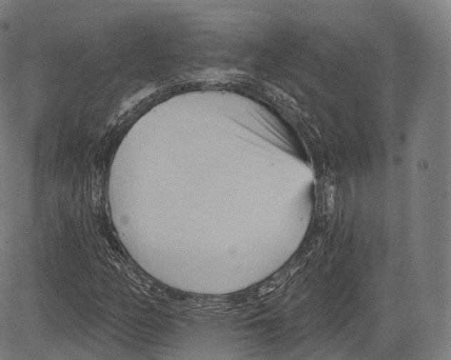 X0000083611158200703121555