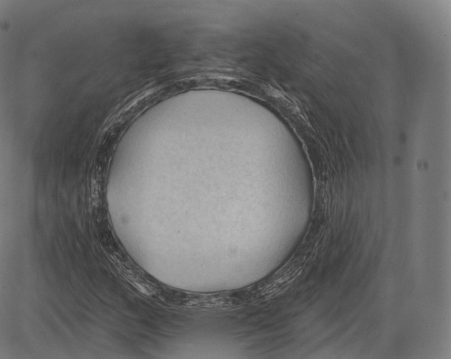 X0000083611159200703121555