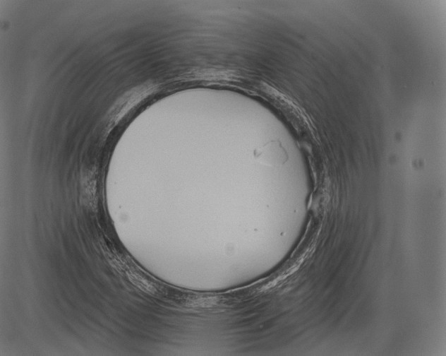 X0000083611162200703121555