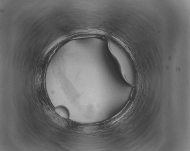 X0000083611163200703121555