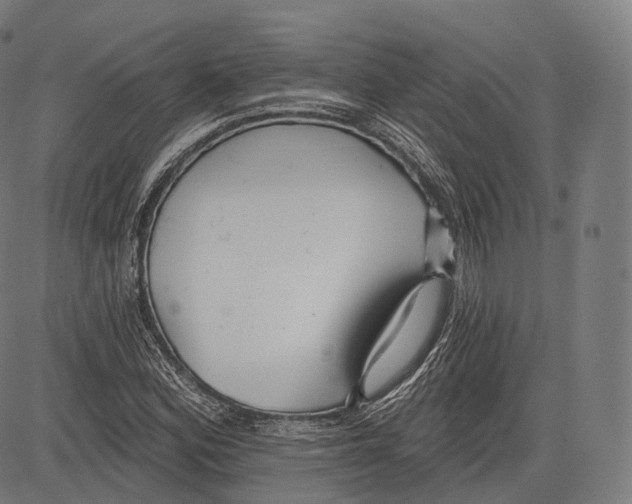 X0000083611164200703121555