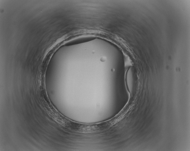 X0000083611165200703121555