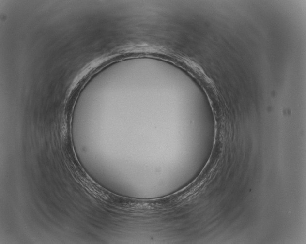 X0000083611167200703121555