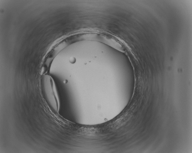 X0000083611168200703121555