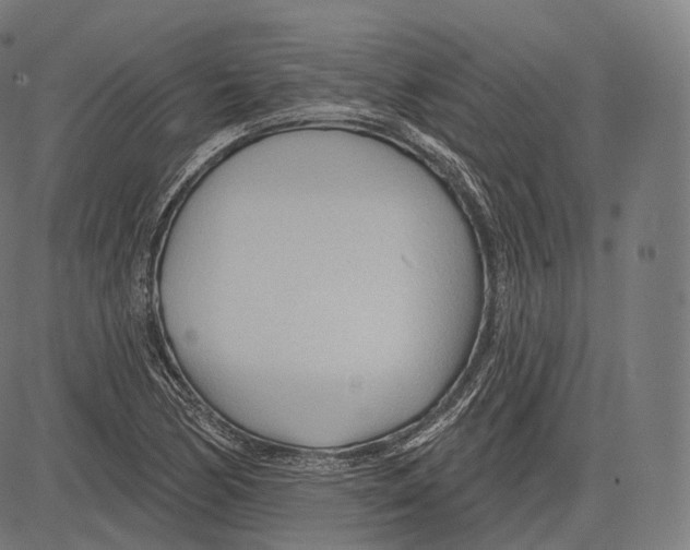 X0000083611170200703121555