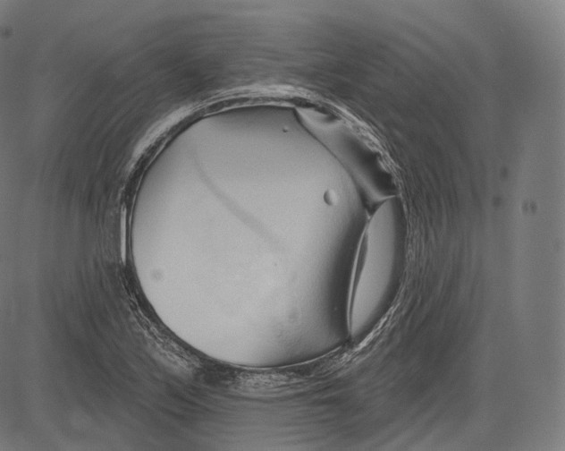 X0000083611171200703121555