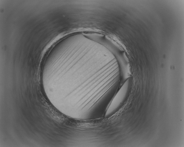 X0000083611173200703121555