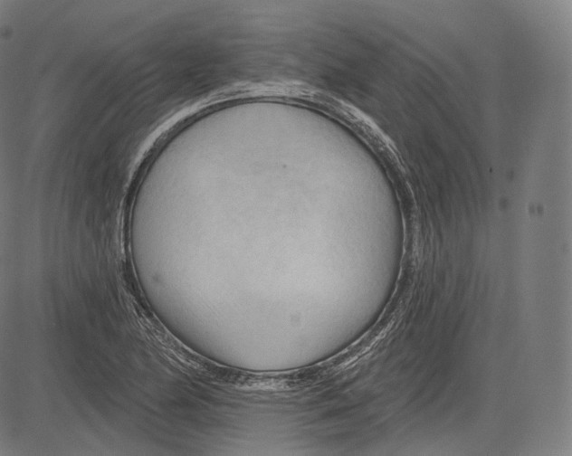 X0000083611174200703121555