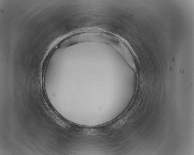 X0000083611176200703121555