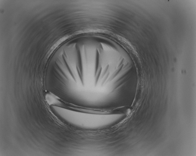 X0000083611177200703121555