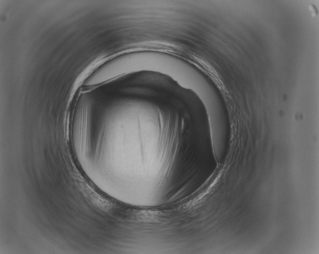 X0000083611180200703121555