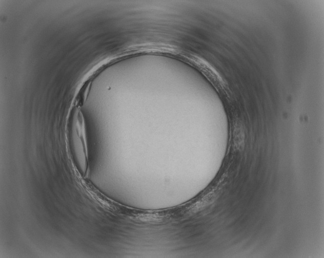 X0000083611182200703121555