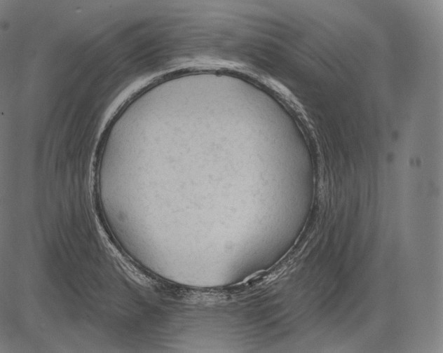 X0000083611183200703121555