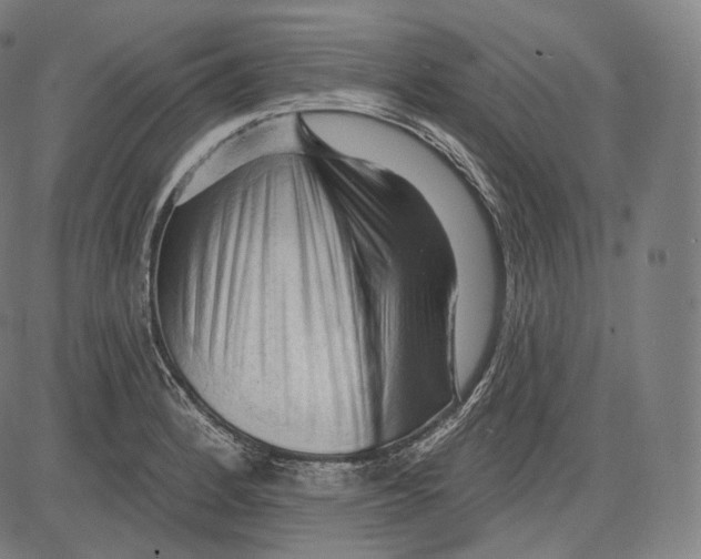 X0000083611184200703121555